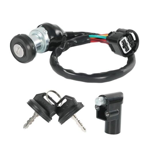 48397 Ignition Switch with Key Assembly Compatible with Massimo Buck 250, 450