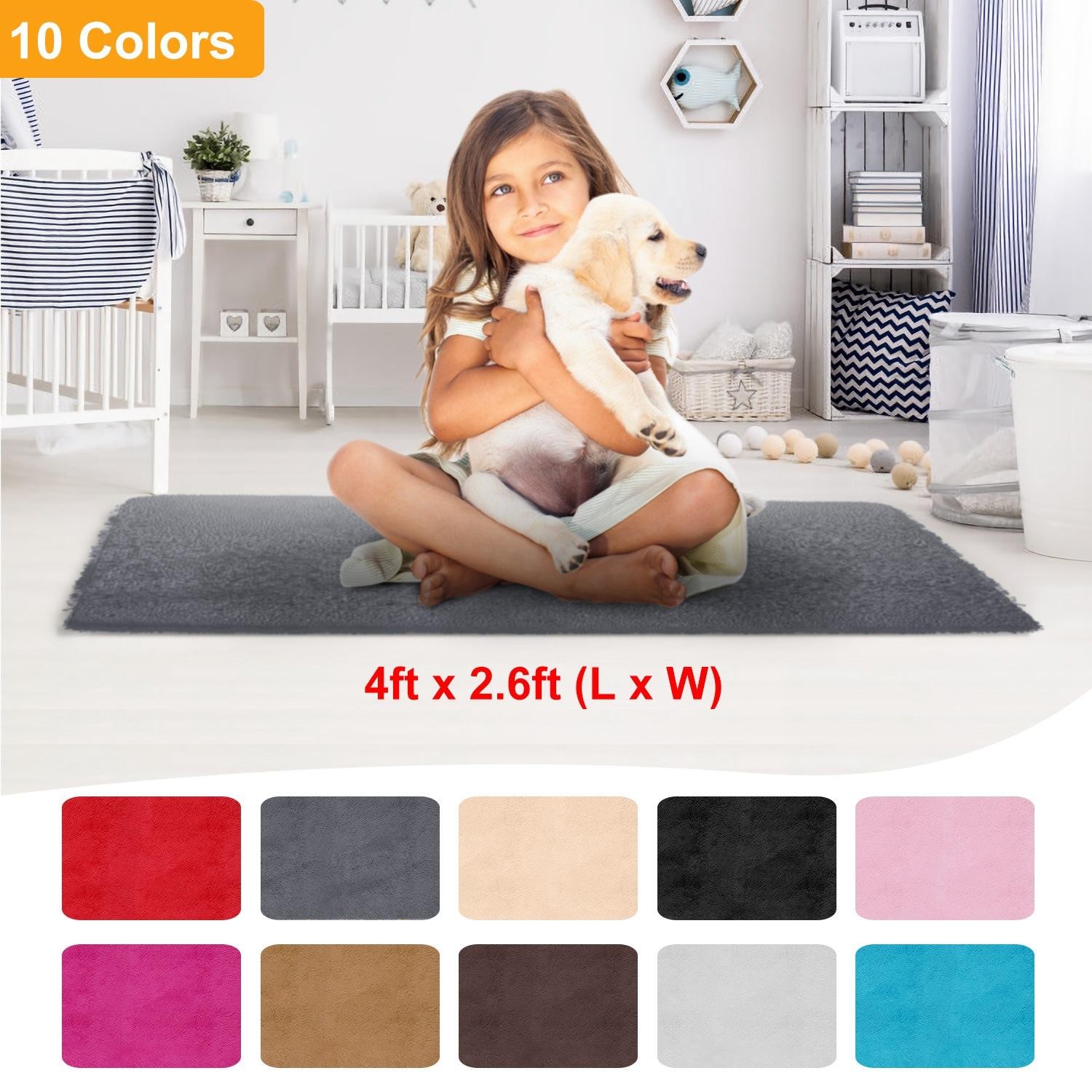 Fluffy Bedroom Rug 4’ x 2.6’ Anti-Skid Shaggy Area Rug Decorative Floor Carpet