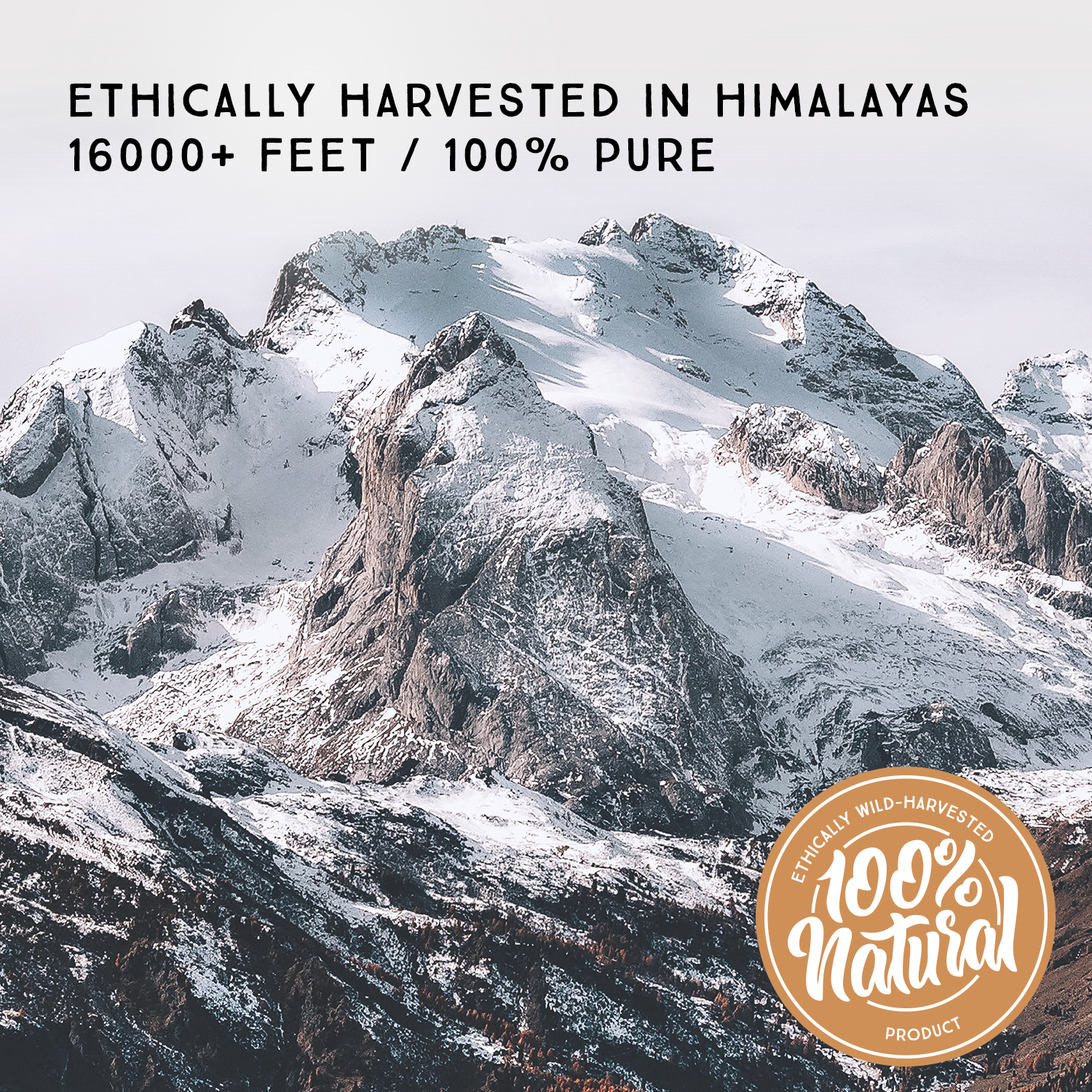 Pure Shilajit from Himalaya, Soft Resin, Extremely Potent, Natural Fulvic Acid