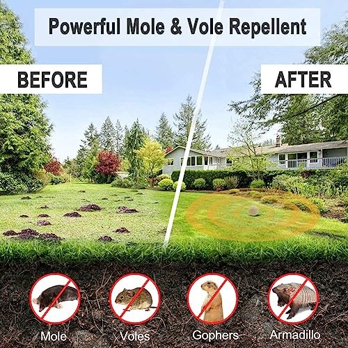 AERROATCH Eliminates Land Moles - Effectively and Environmentally