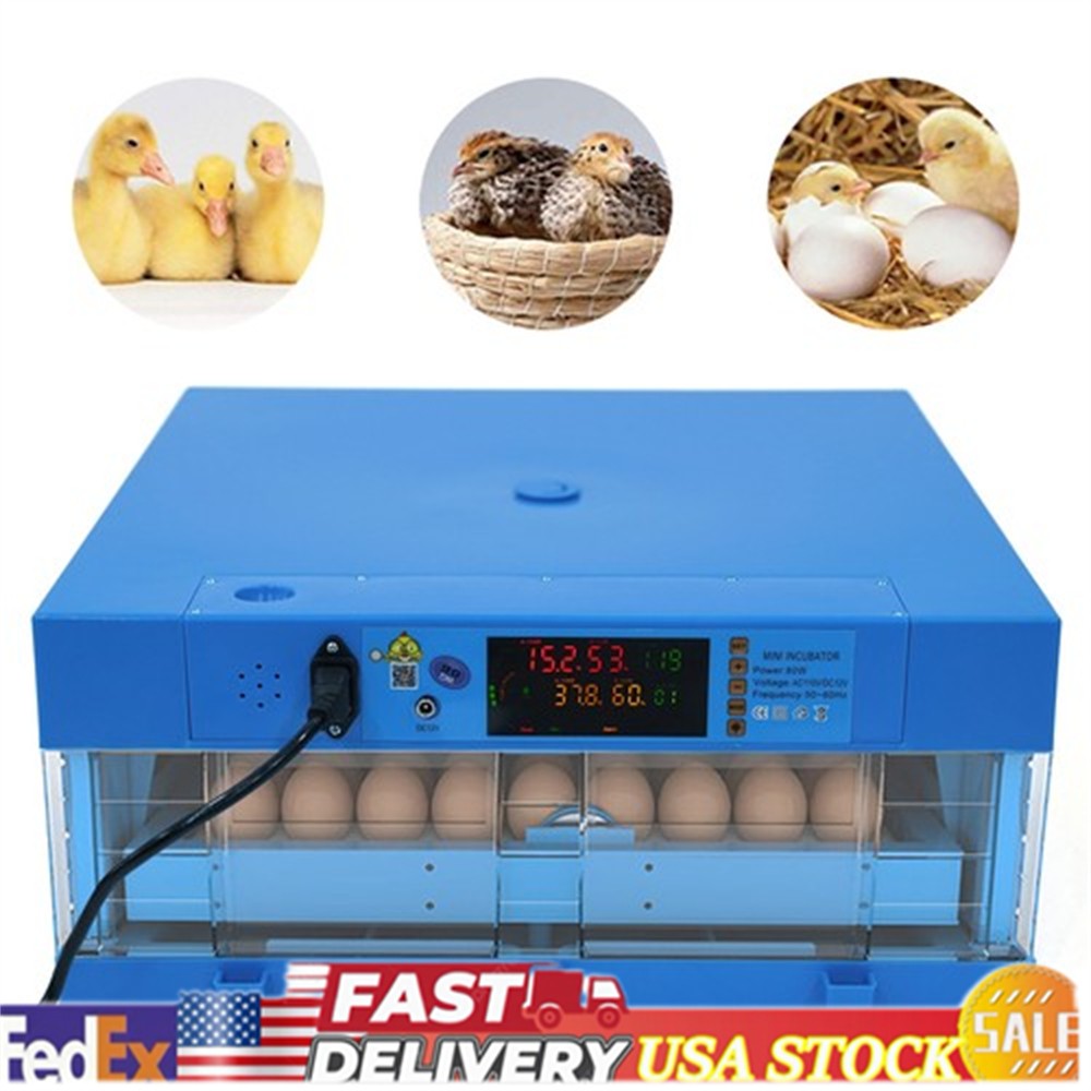 Chicken Quail Chick Hatcher Incubators Automatic Egg Incubator For Hatching Eggs