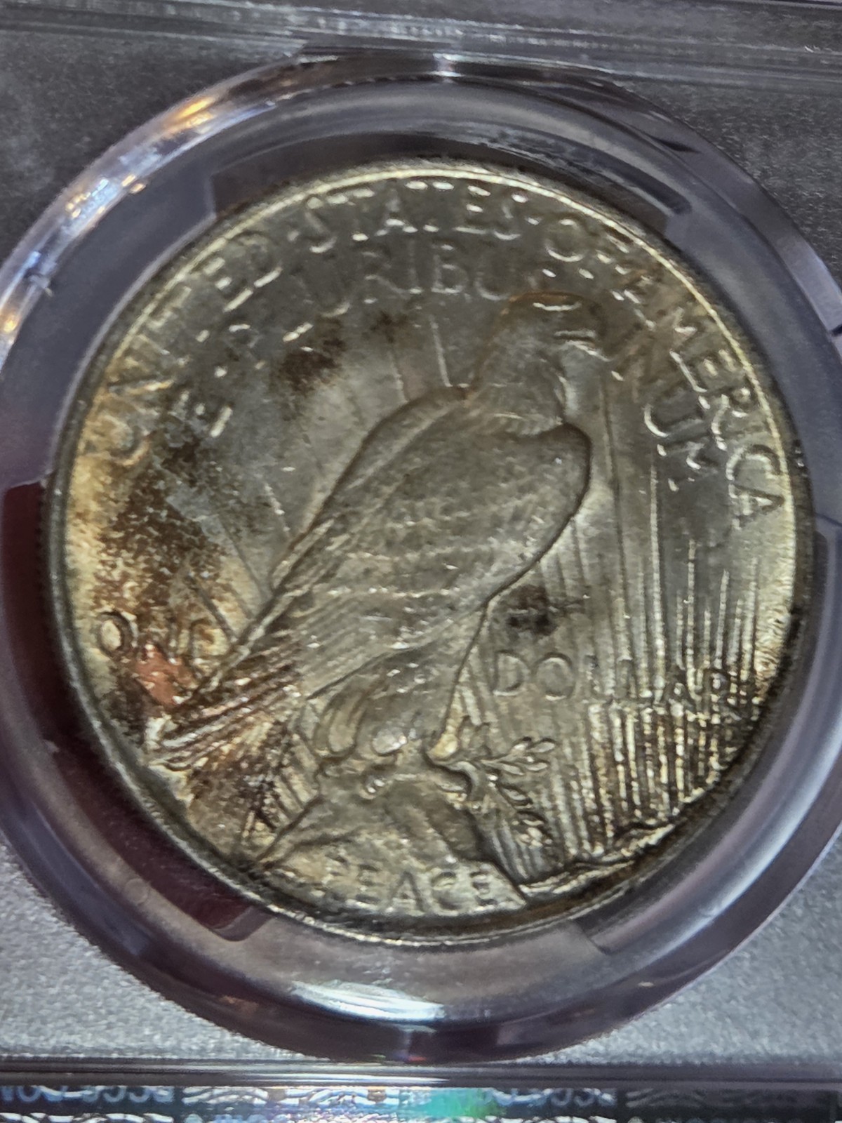 1922 $1 Peace Dollar PCGS MS65 Toned