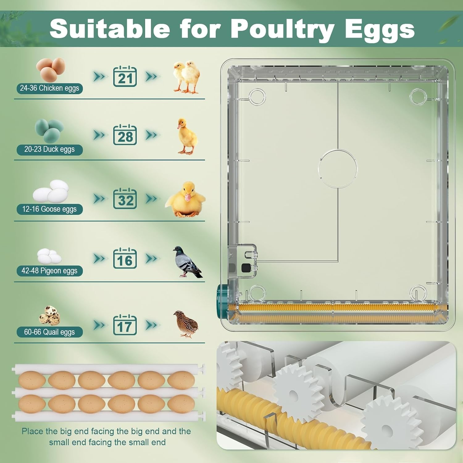 Effortless 36-Egg Incubator: Precision Temperature & Auto-Turning Features