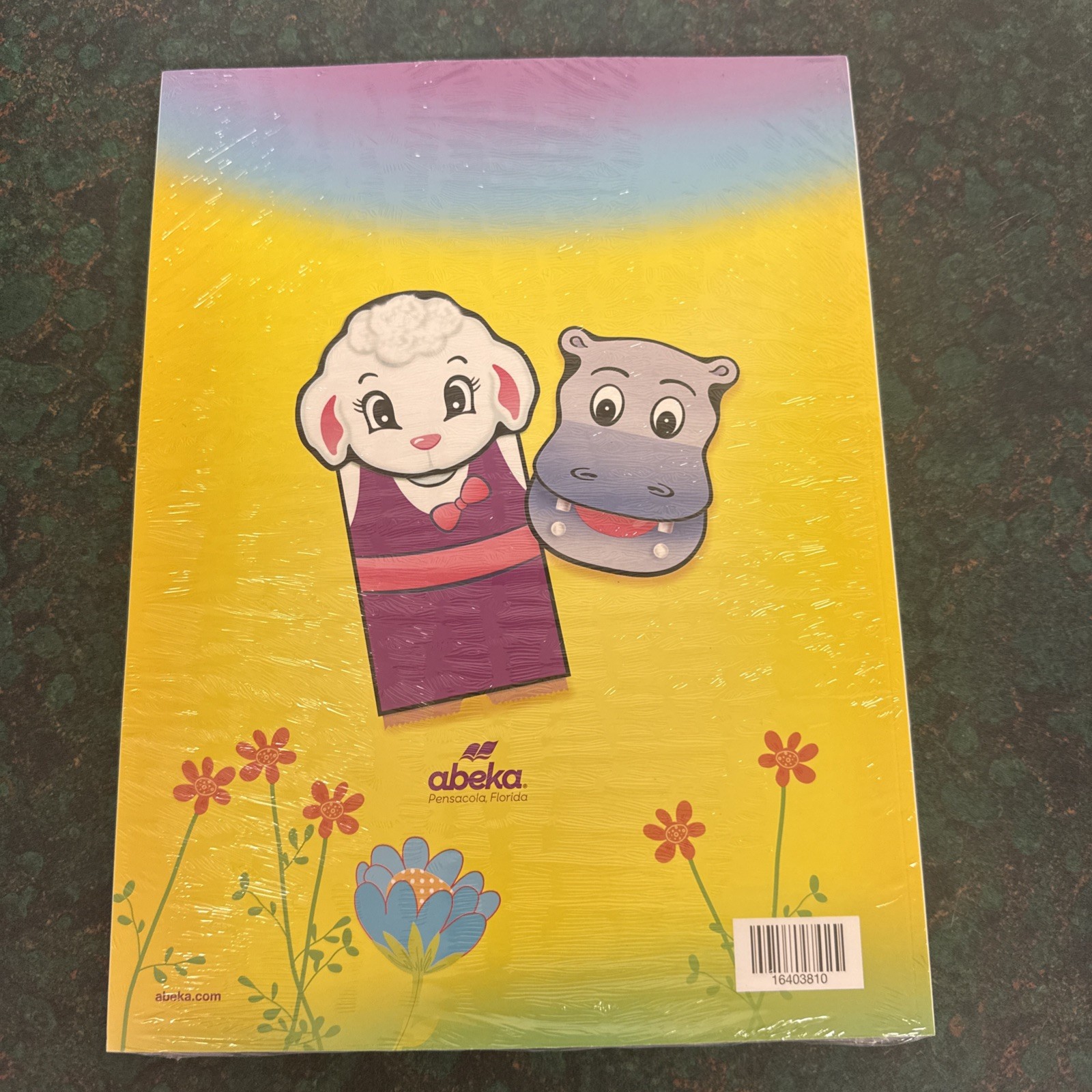 Abeka Art Projects K4 *NEW* Homeschool Project Instructions Crafts Preschool