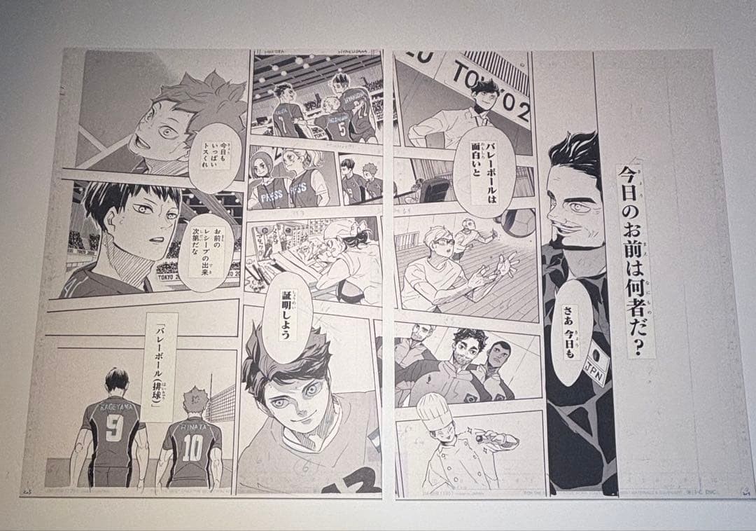 Haikyuu Duplicate Manuscript Final Episode