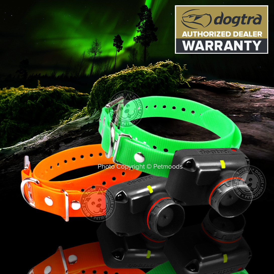 Dogtra 2702T&B Remote 2-Dog Training Beeper Collars Trainer System Train & Beep