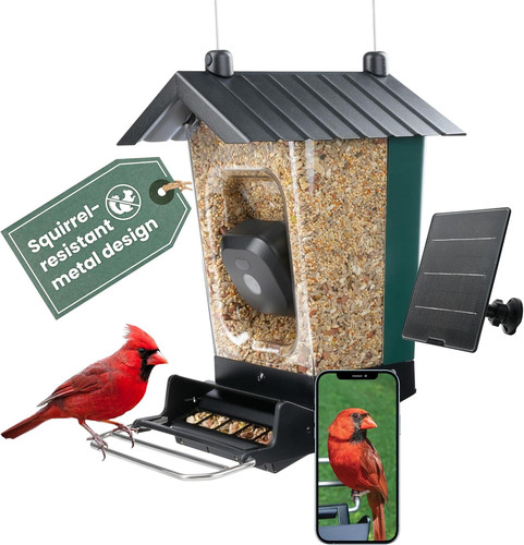 Perky-Pet Solar Powered Smart Bird Feeder with Camera, 3.2L Capacity | Green