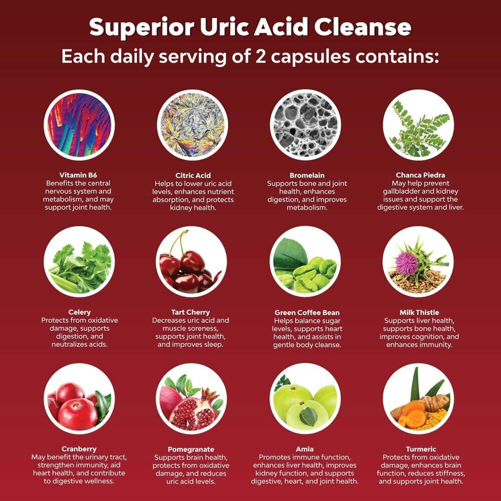 Tart Cherry Extract 200 mg 120 capsules Strength 4:1 Extract Uric Acid