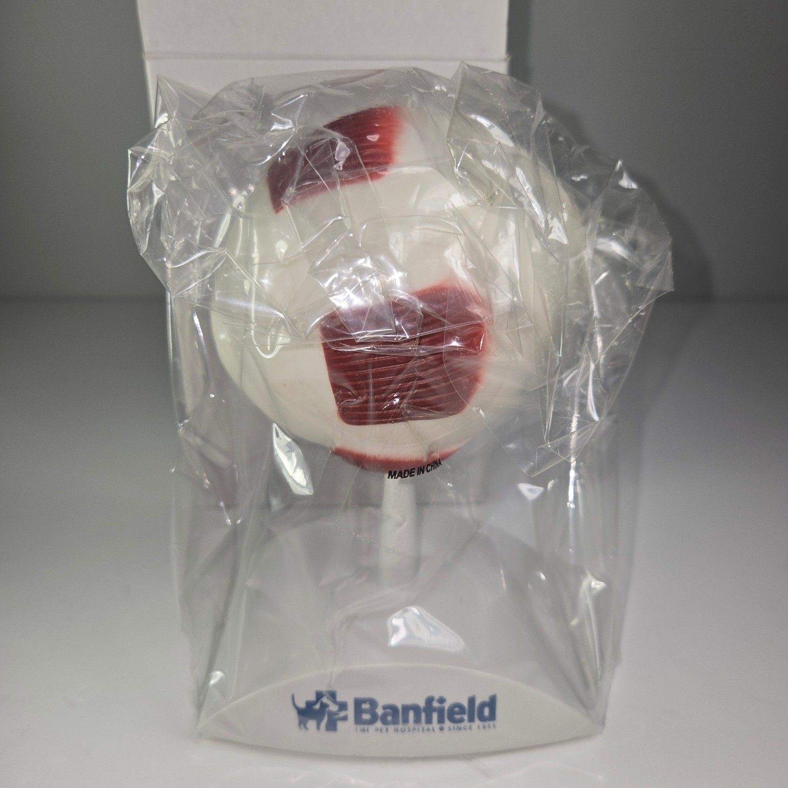 Banfield Eye Anatomy Model Educational Teaching Tool