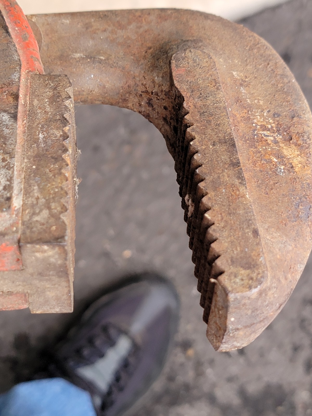 Ridgid 36 in Heavy Duty Pipe Wrench