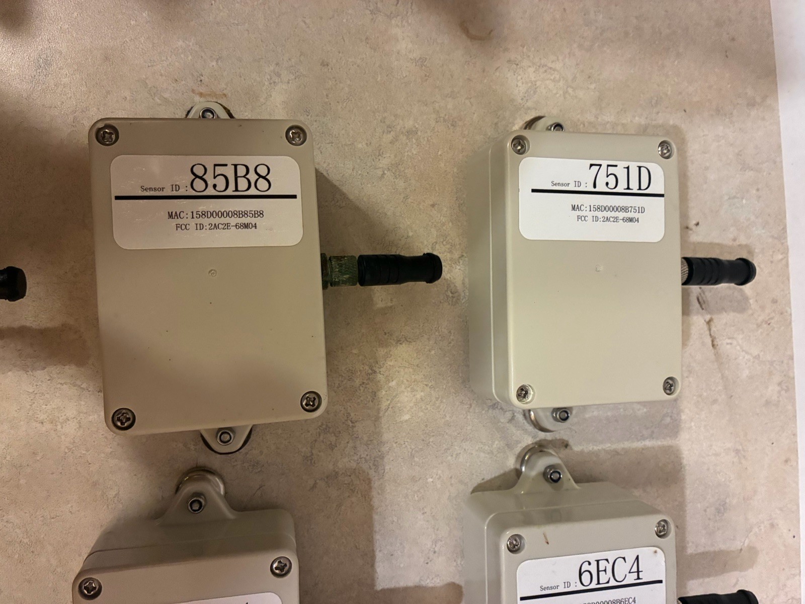 Lizard Monitoring Temperature System