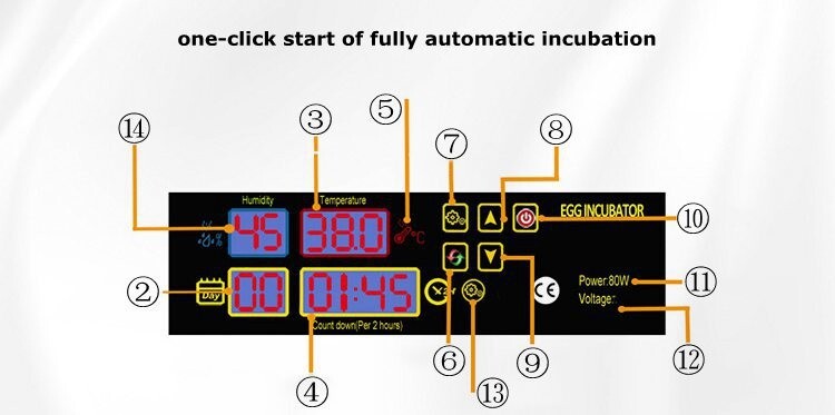 YZ-48 110V Automatic 48 Eggs Egg Incubator Chicken Hatching Equipment
