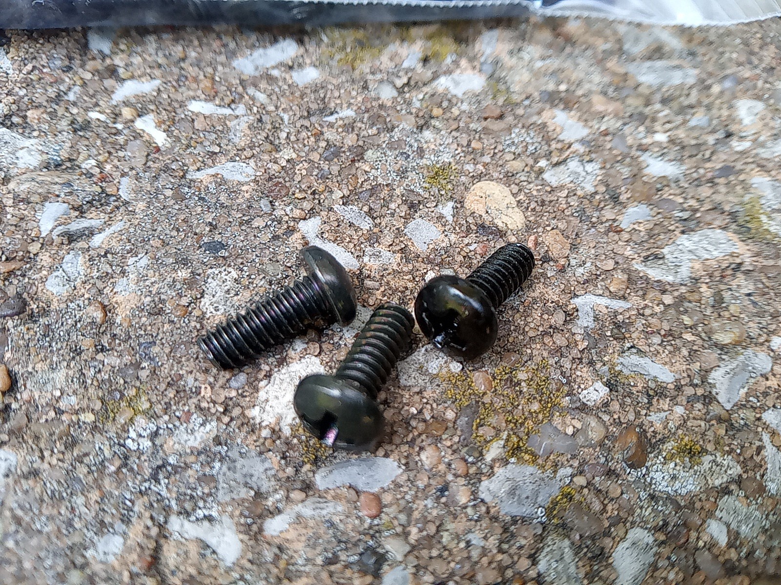 6-32 x 3/8" Pan Head Black Oxide Steel Screws Phillips Pack of 100 FREE SHIP