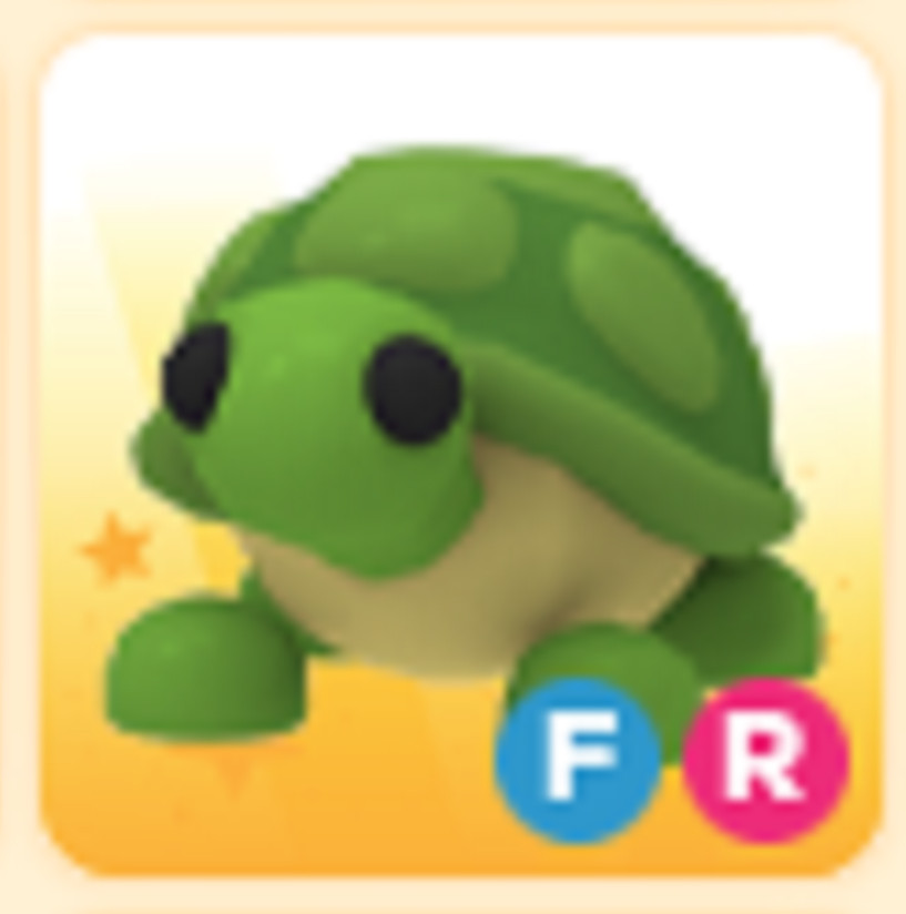 FR Turtle - Adopt right now