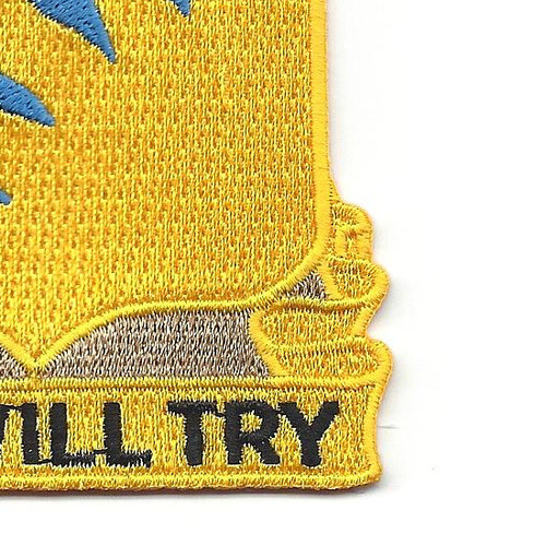 389th Infantry Regiment Patch