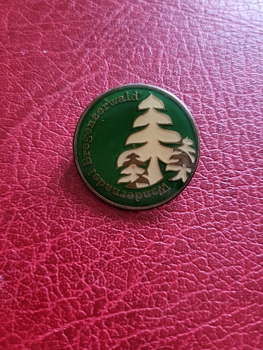 Pin hat pin hiking pin brooch Bregenzerwald