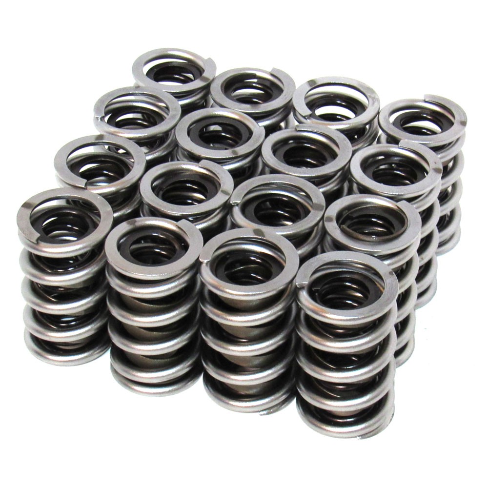 Renegade Valve Spring Set 99540-16; Dual, 220 lbs at 1.900 in., 1.540 in. OD