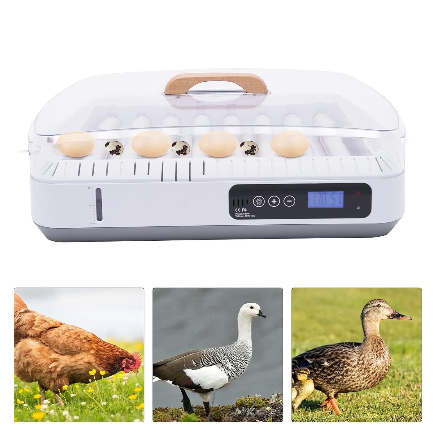 Automatic Egg Hatching Incubator, 35 Eggs Poultry Hatching Machine