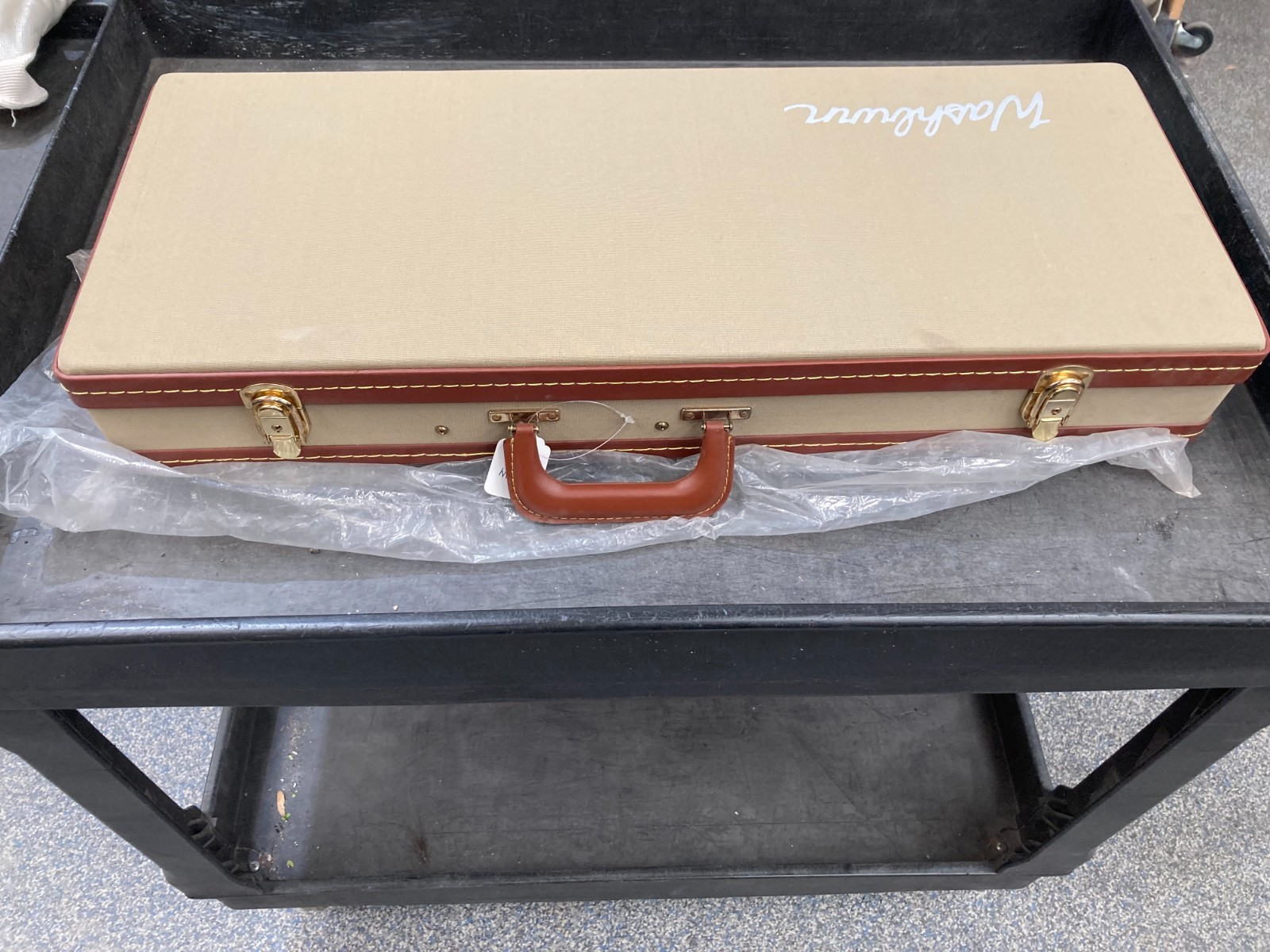 Washburn Mandolin Hard Case