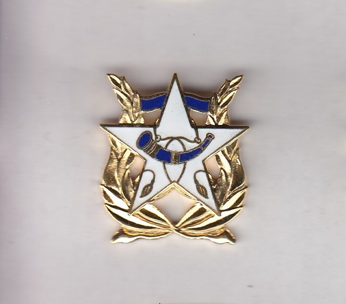 US Army BAND 1.25 inch screwback crest DUI badge G-23 large