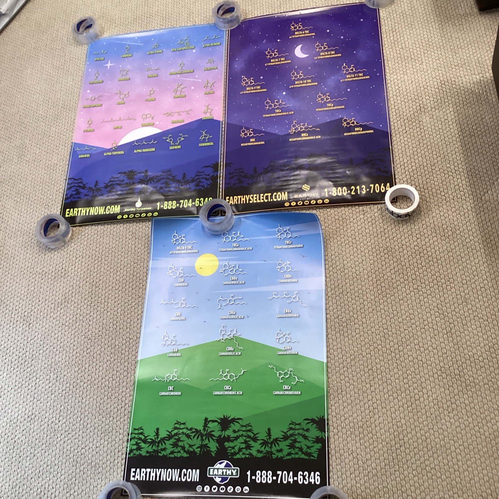 Posters Of Active Chemical Compounds In Marijuana, Qty. 3
