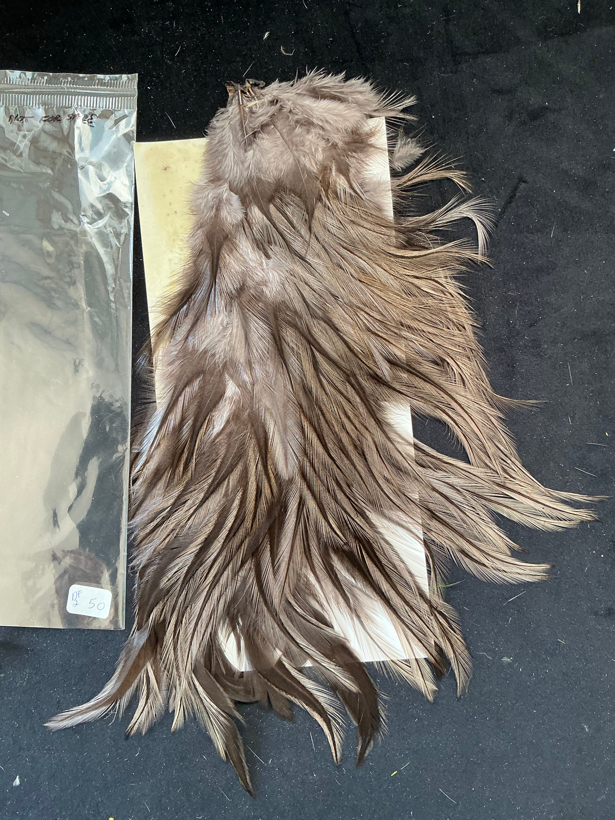 Rooster Coq Y Bondou Saddle Hackle Cullen Collection S21