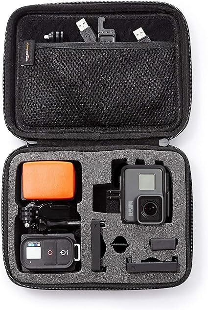 Basics Small Carrying Case for GoPro And Accessories - 9 x 7 x 2.5 Inches, Black
