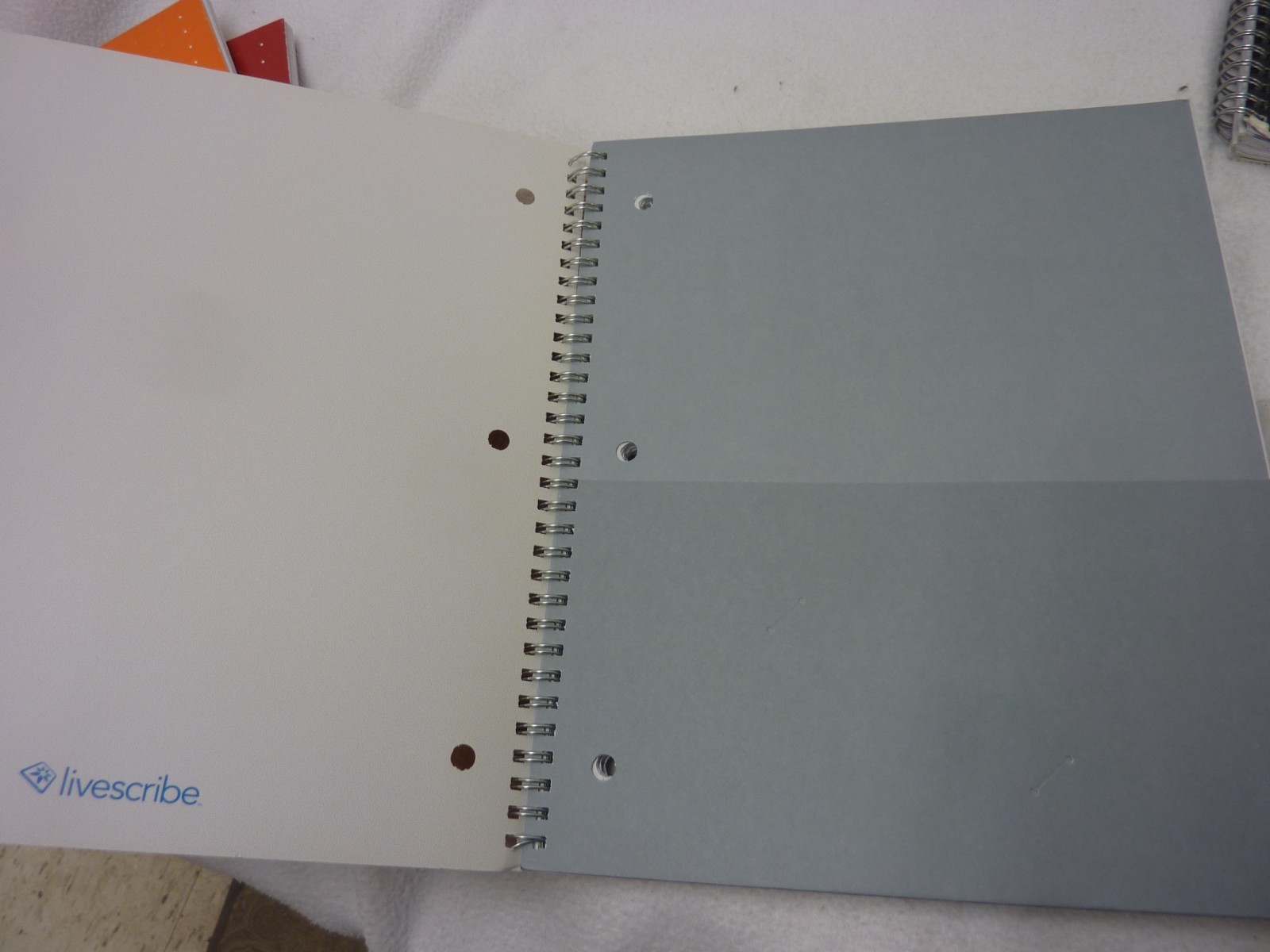 FOUR LIVESCRIBE NOTEBOOKS - COMPLETE PLUS ONE PARTIAL LIVESCRIBE NOTEBOOK