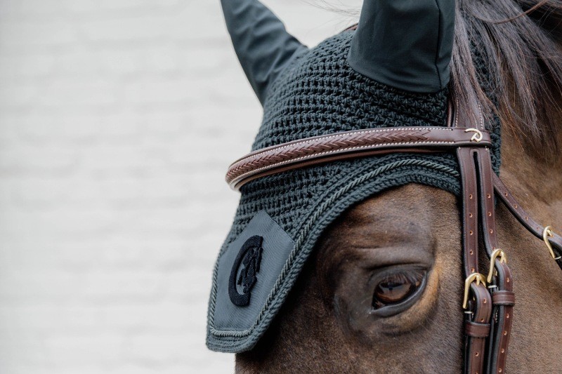 Dion Plaited Combo Bridle