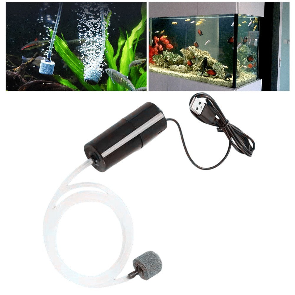 Essential Aquarium Oxygen for source Compact USB Silent Pump for Fish Care