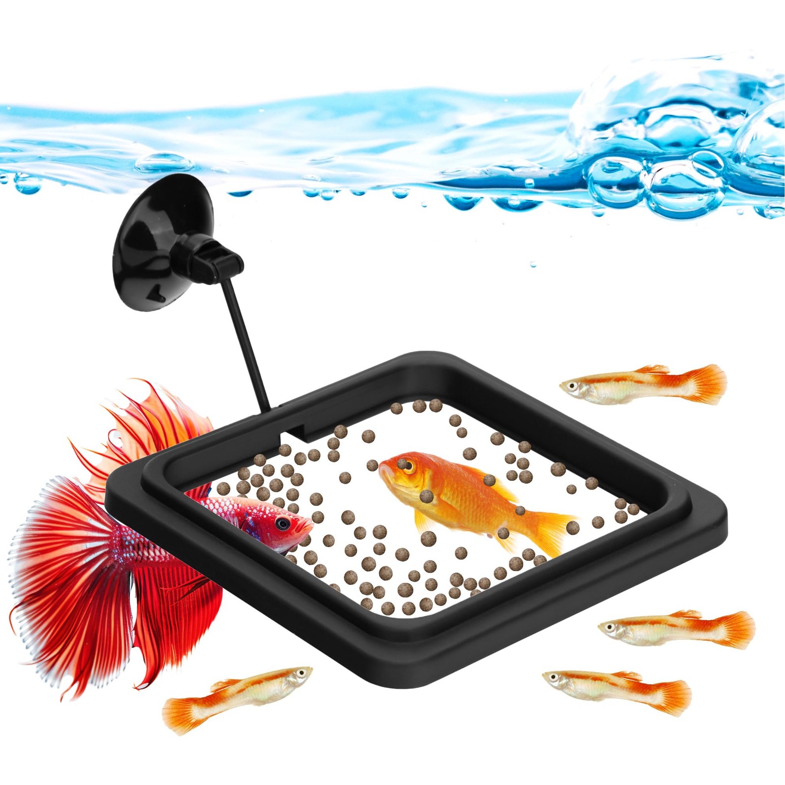 DaToo Fish Feeding Ring Aquarium Square Floating Food Feeder Circle black