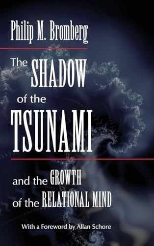 The Shadow of the Tsunami - Hardcover, by Bromberg Philip M. - Very Good
