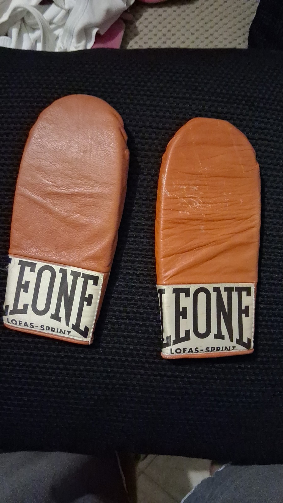 Vintage Lion Gloves
