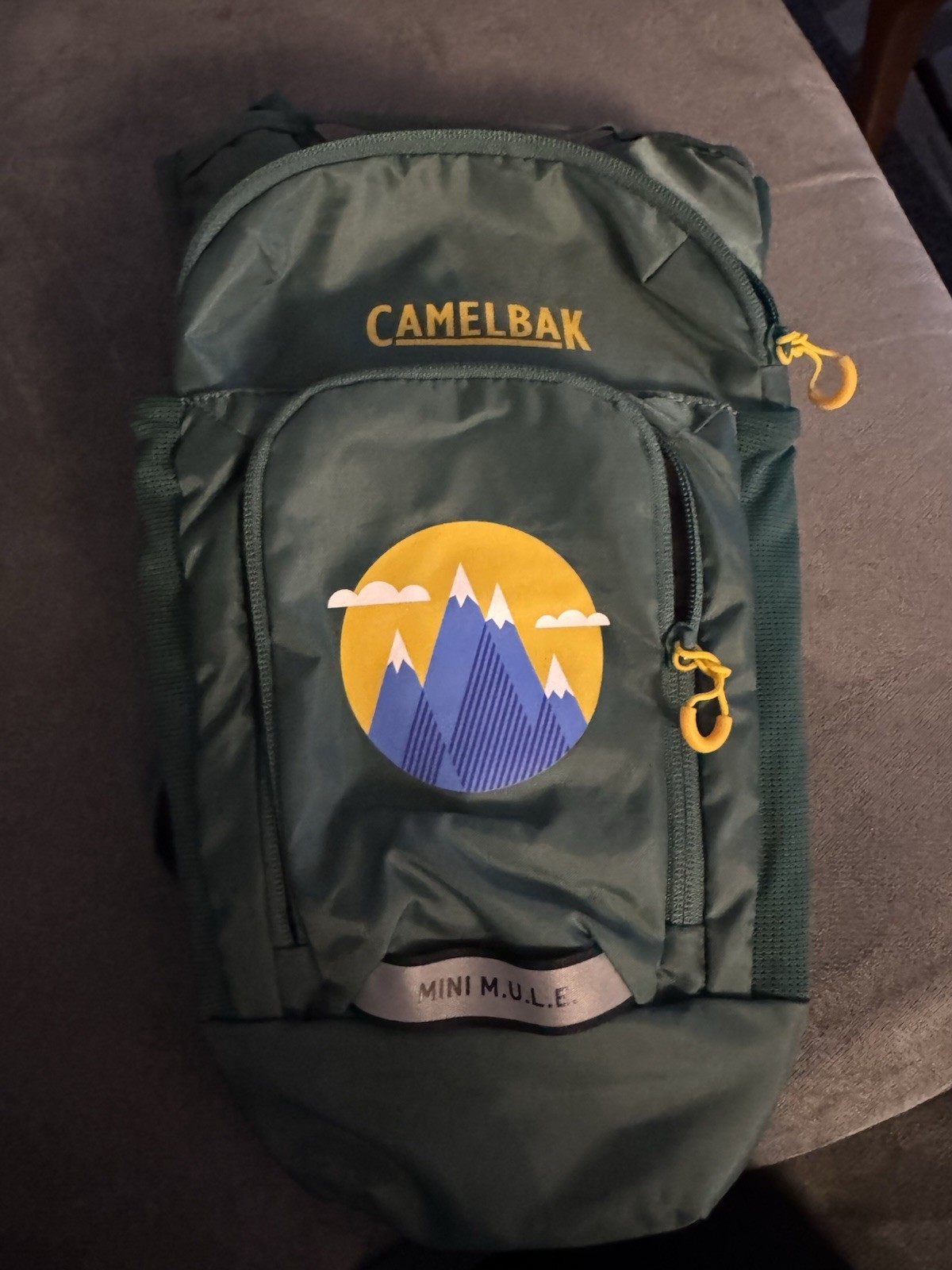 CamelBak Mini M.U.L.E. Kids Hydration Backpack 1.5L Reservoir Green Hiking