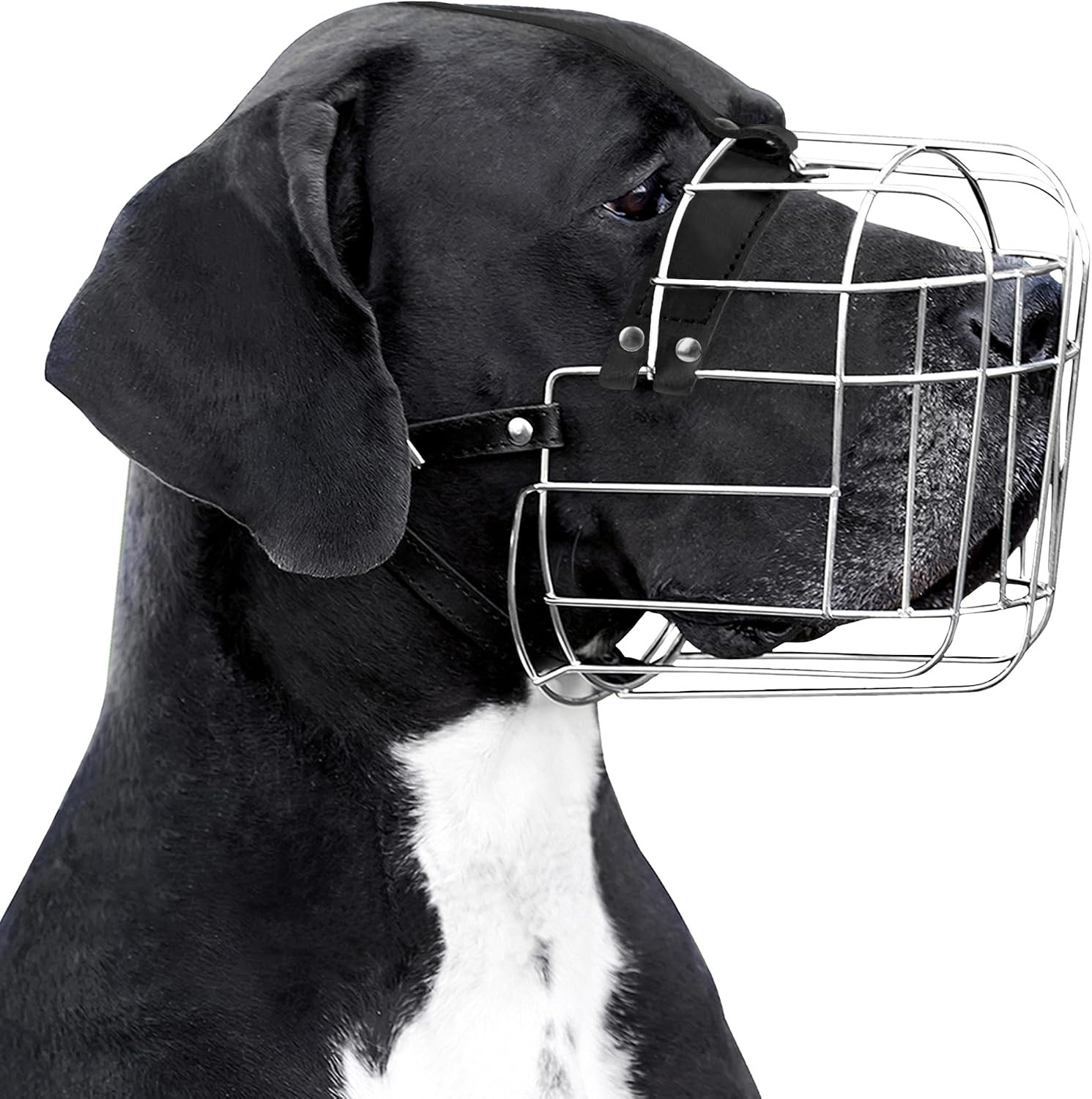 Training-Friendly Large Dog Muzzle with Cushioned Padding - Safe and Effective