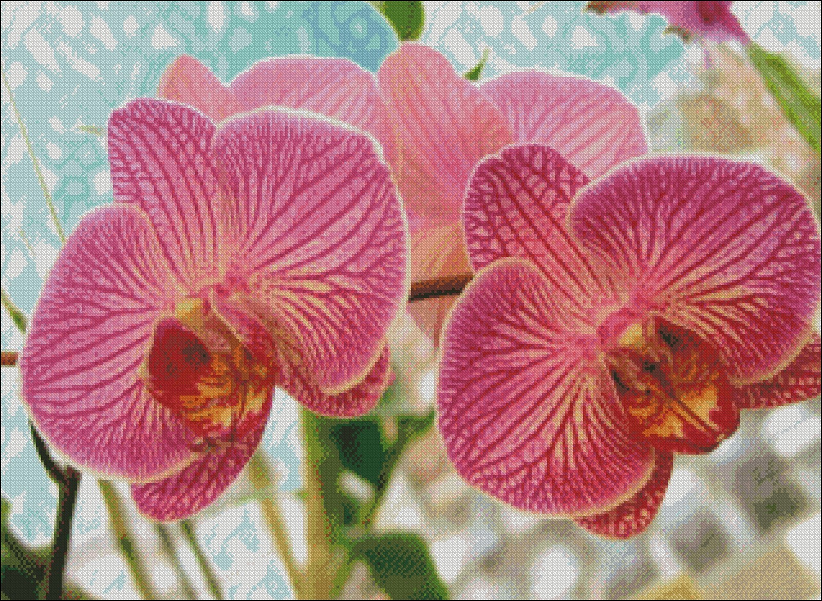 Chart Needlework DIY Counted Cross Stitch Patterns 14 ct - Orchid