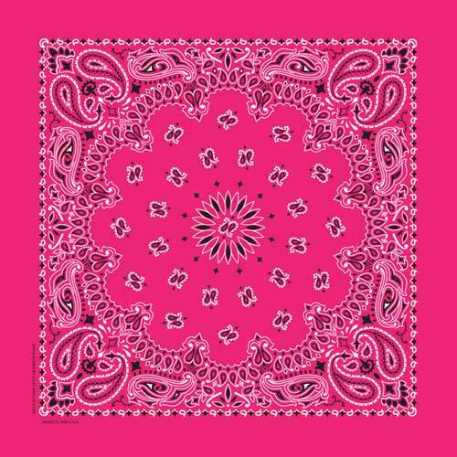 Carolina Creative Bandanna (Hot Pink) Paisley Print 22" x 22" Hav-A-Hank