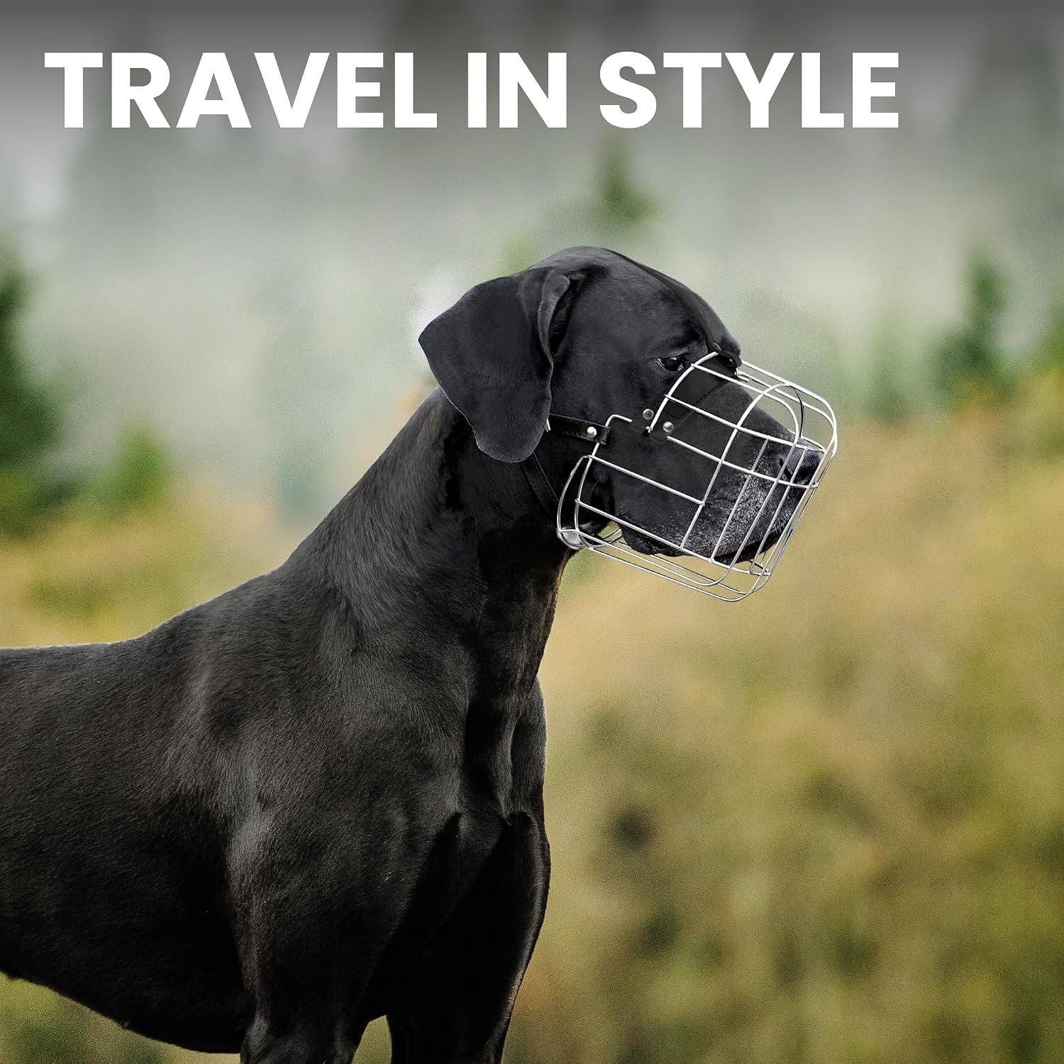 Training-Friendly Large Dog Muzzle with Cushioned Padding - Safe and Effective