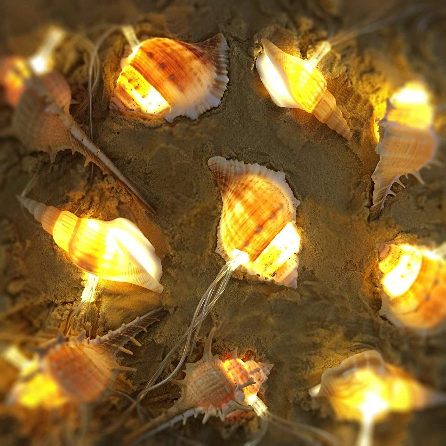 Natural Conch LED String Lights, 10 Ft 10 LED Battery Powered Waterproof Low ...