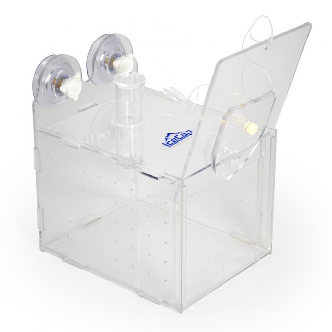 Medium Fish Trap (8" x 6" x 6") - IceCap