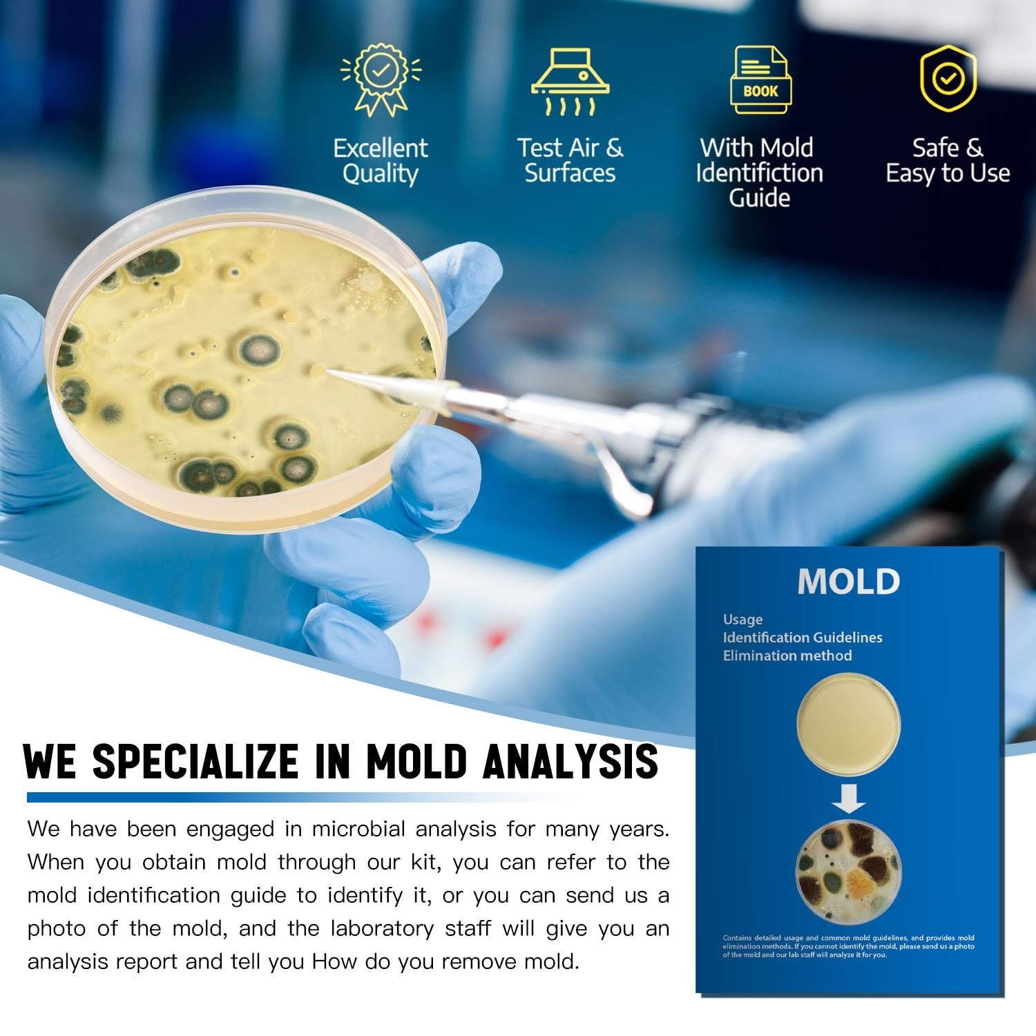 Home Mold Kit - 6 Tests, Black Mold Detector, Free Lab Analysis