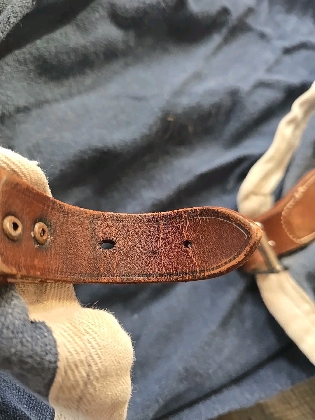 Stable Sheet 62