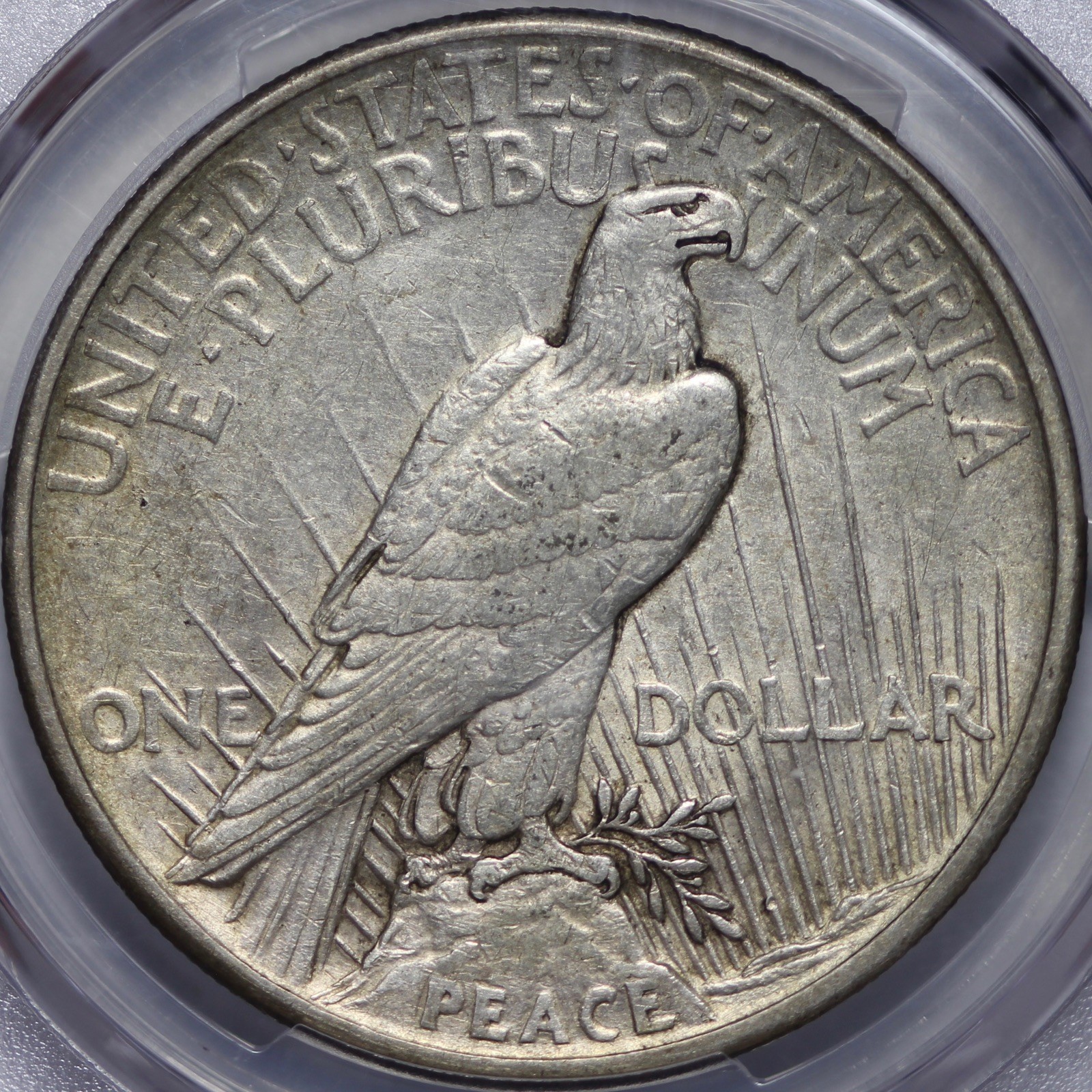 1921 Peace Silver Dollar PCGS XF45 WTKNNS