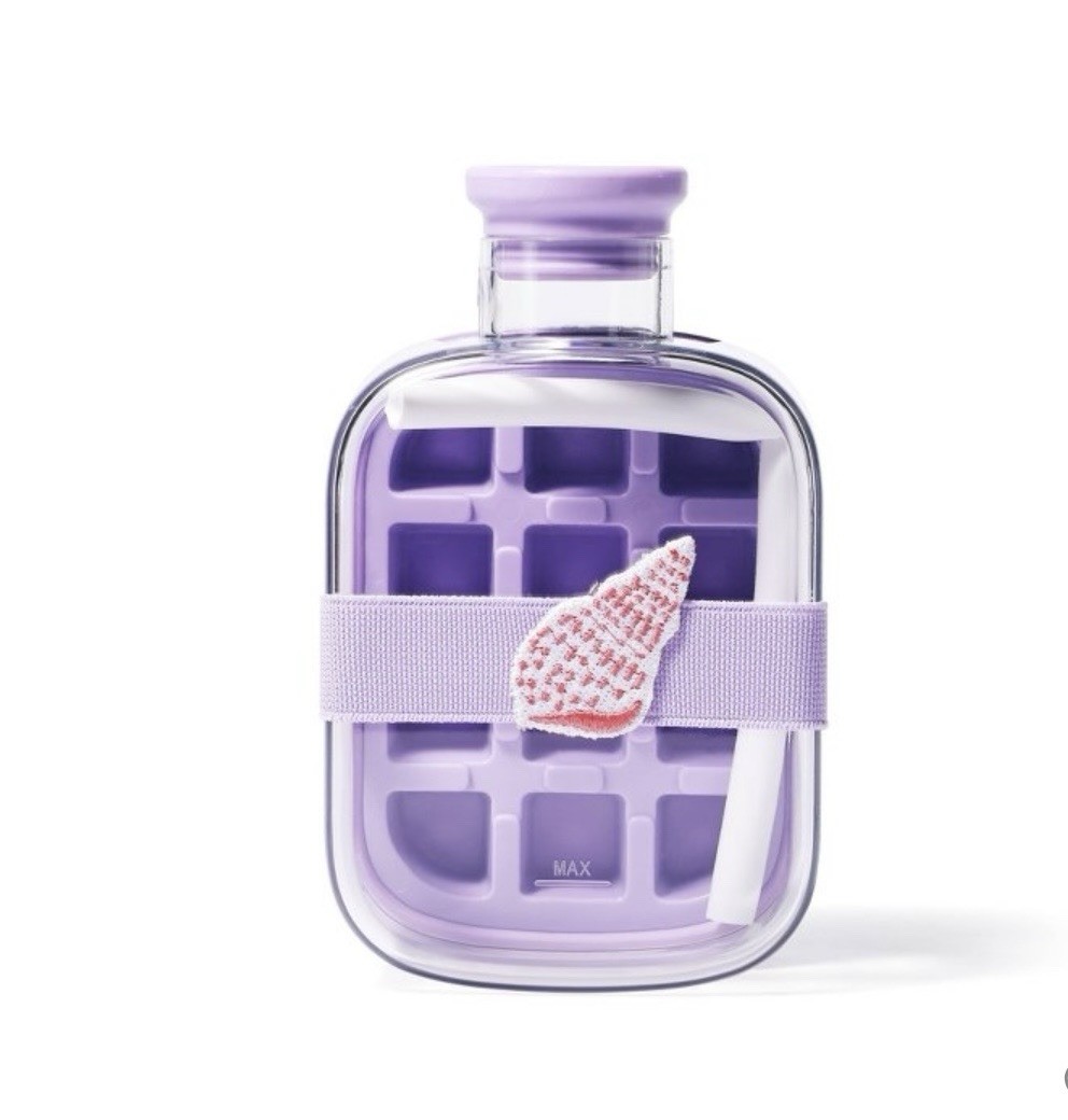 Ice Mold Bottle - Bullseye's Playground 16.9 Oz