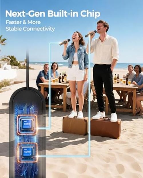 Wireless Microphones, 5-level Volume Adjustment, Dual Handheld Dynamic Mic