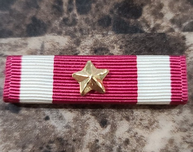 Vintage Meritorious Service Medal Ribbon Bar with Gold Star Device  #1*