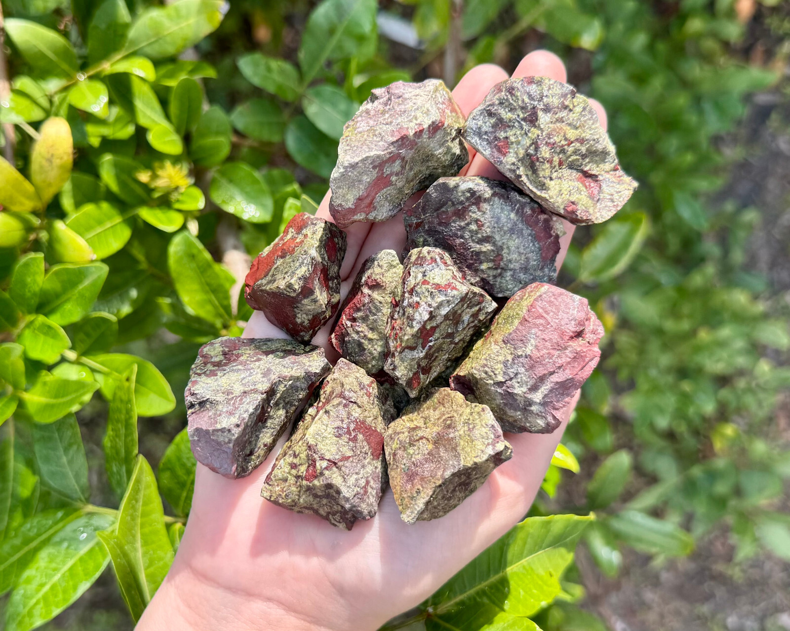 Dragons Blood Jasper Rough Natural Stones - Raw Dragons Stone Crystals