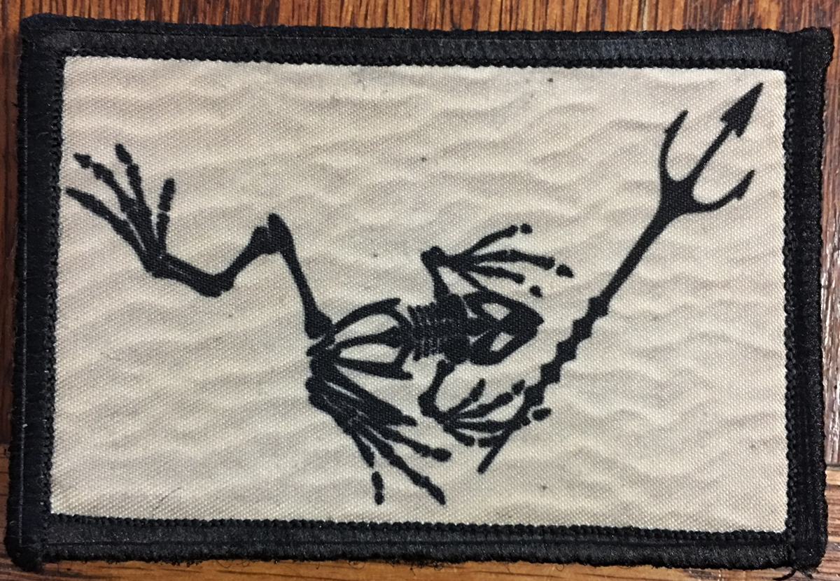 SKELETON FROG NAVY SEAL Morale Patch Tactical Military Army Badge Hook Flag