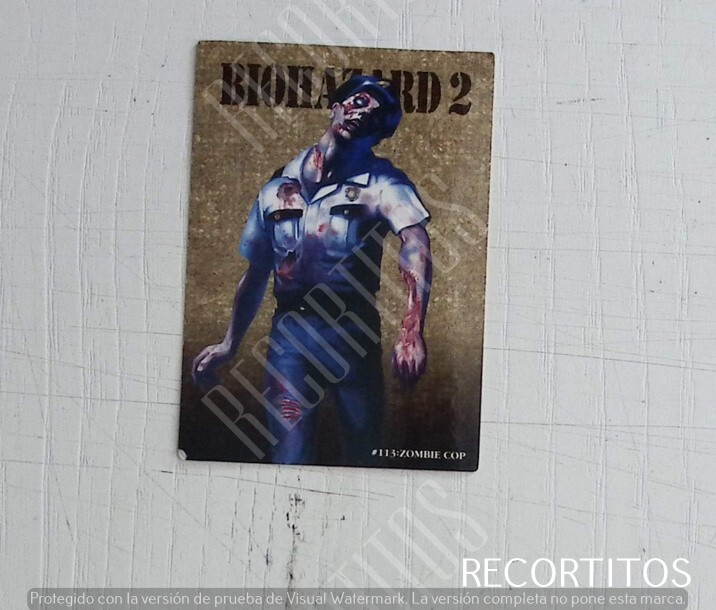 Sherry Resident Evil Biohazard Carddass TCG Capcom Game Card Rare Japan