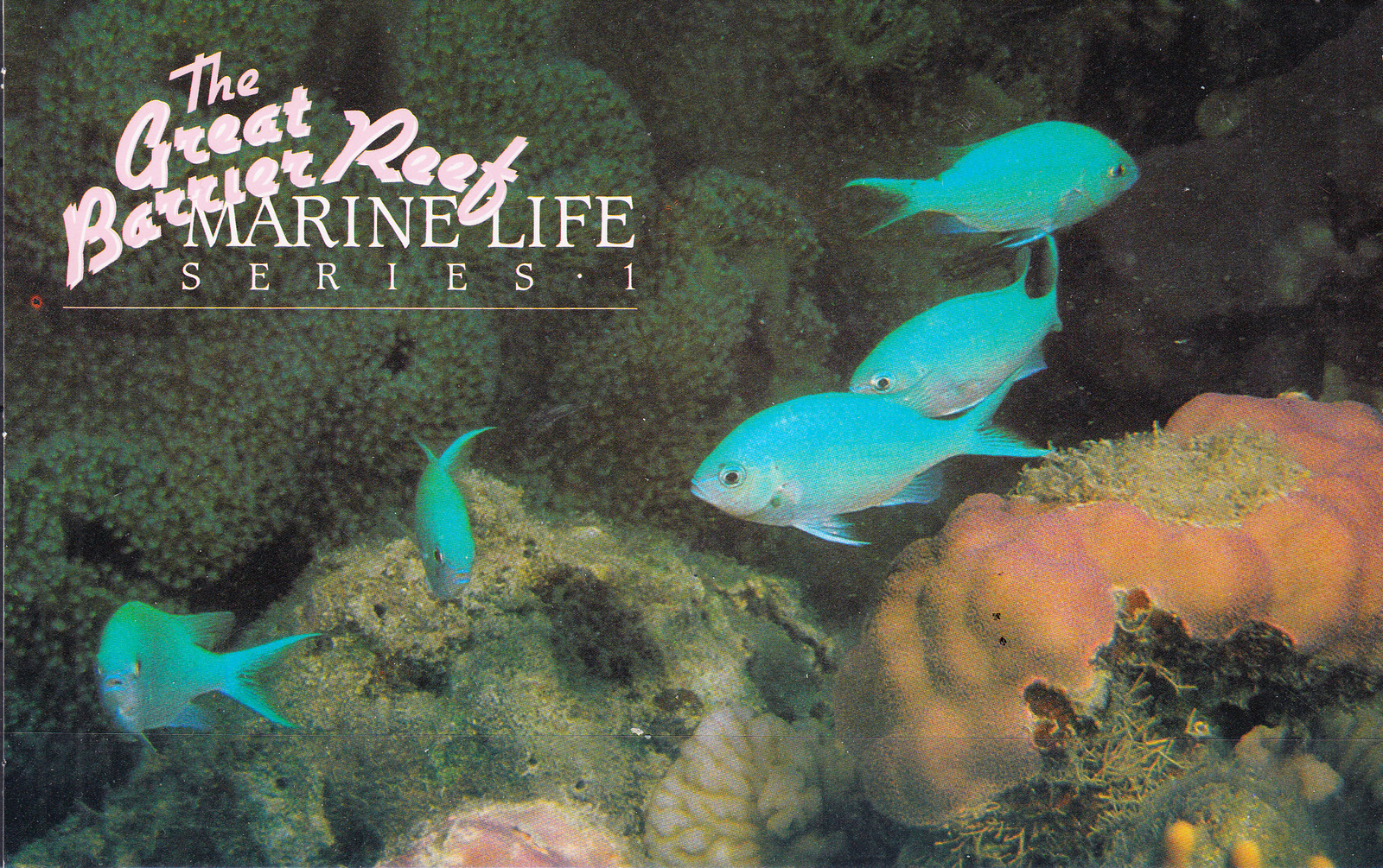 W AUSTRALIA 0902-020 (1) MARINE LIFE PRESENTAITON PACK